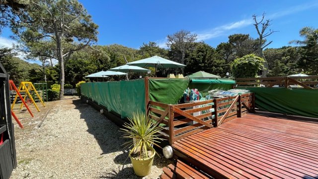 Reposeras para la playa de Costa del Este